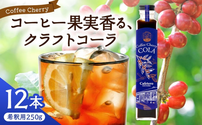 
            カフェテーロ葉山　コーヒーチェリーコーラ　250g×12本 / 天然エネジードリンク 酸味 フルーティ 神奈川県【合同会社エンディレクト】 [ASBM002]
          