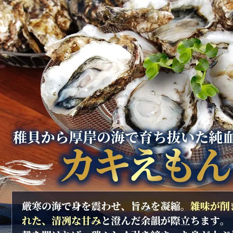 北海道 厚岸産 ブランド 殻付牡蠣 食べ比べ 弁天牡蠣 A3サイズ カキえもんLL サイズ 各6個 生食用 [ 牡蠣 カキ かき 生食 生食用 生牡蠣 食べ比べ 魚貝類 ブランド牡蠣 ]