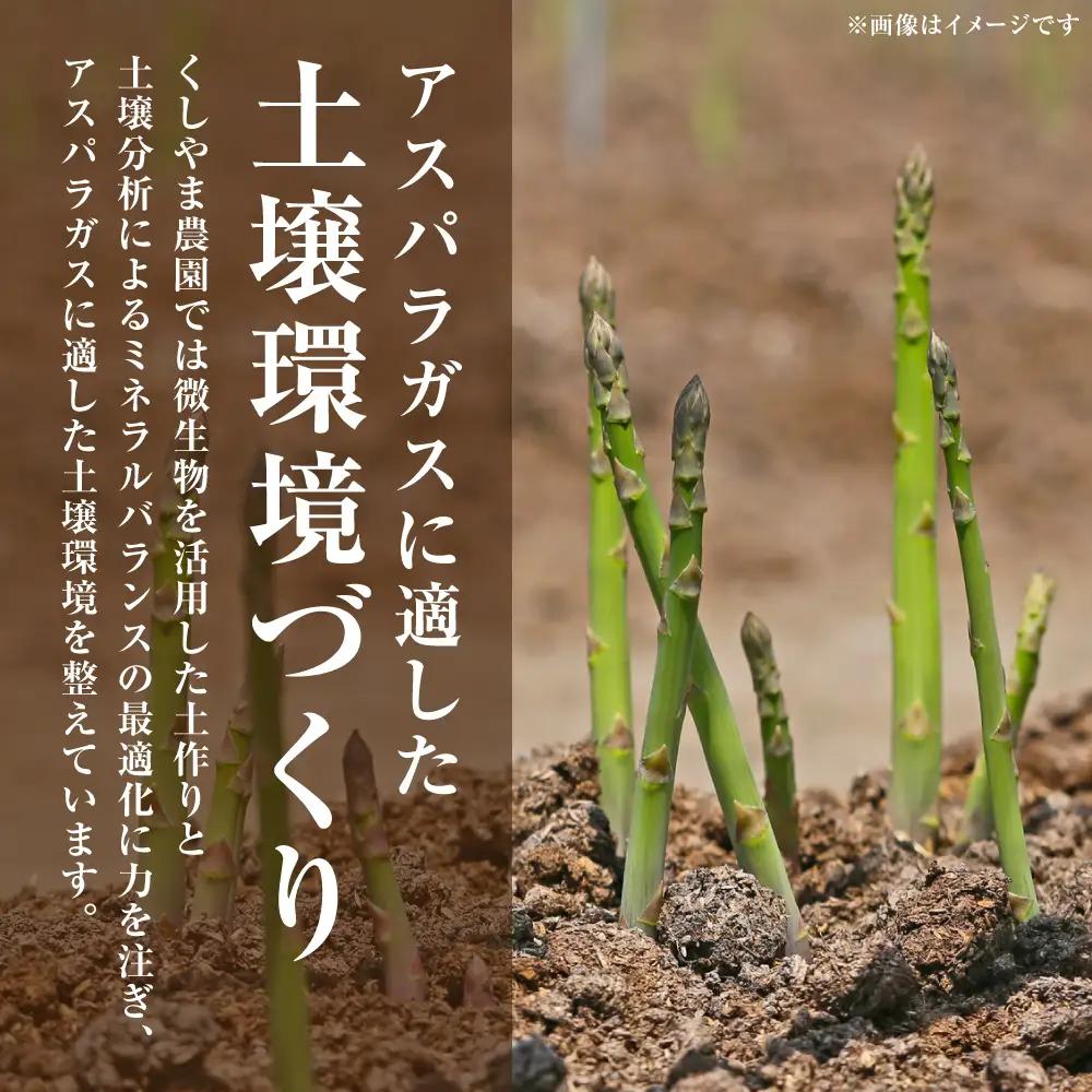 アスパラガス 1kg （M～2Lサイズ混合） アスパラ 新鮮 夏野菜 野菜 やさい 旬 産地直送 野菜ソムリエサミット 銀賞 熊本県 八代市