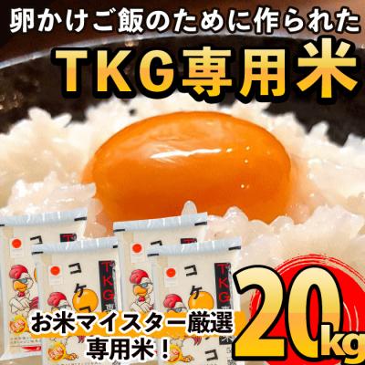 ふるさと納税 霧島市  《令和7年産新米 先行受付中》コケコッコ(TKG専用米)計20kg!【山口米店】　D-052