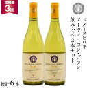 【ふるさと納税】【3回 定期便 】白 ワイン ソーヴィニヨン・ブラン 2種 飲み比べ 750ml×2本 [ヴィニョブル安曇野 DOMAINE HIROKI 長野県 池田町 48110166] 白ワイン セット お酒 酒