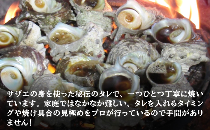 サザエ 秘伝のタレ さざえ つぼ焼き 《壱岐市》【天下御免】[JDB002] 15000 15000円