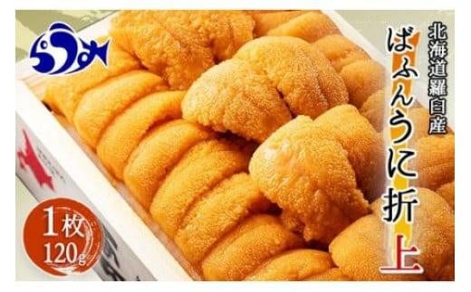 エゾバフンウニ（上）折うに120g×1枚