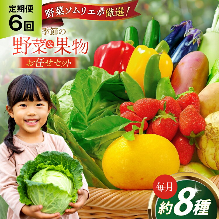 【ふるさと納税】野菜 果物 ソムリエ厳選 地元野菜 果物 6回 定期便 [ひらど新鮮市場 長崎県 平戸市 hr42bgy400196] やさい くだもの フルーツ