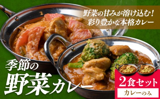 季節の野菜カレー 2食セット ジャムナコーポレーション株式会社 《30日以内に出荷予定(土日祝除く)》千葉県 我孫子市 野菜 カレー ベジタブルカレー スパイス  インド 本格的