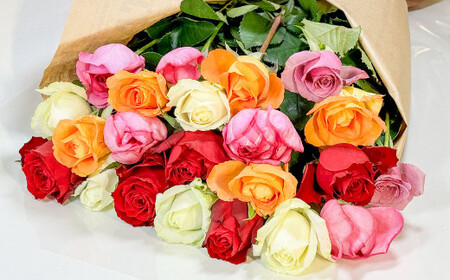 バラの花束 混合（20‐30本）| 花 バラ 薔薇 生花 ローズ 花束 ブーケ 贈り物 プレゼント ギフト【2026年11月下旬頃迄発送予定】