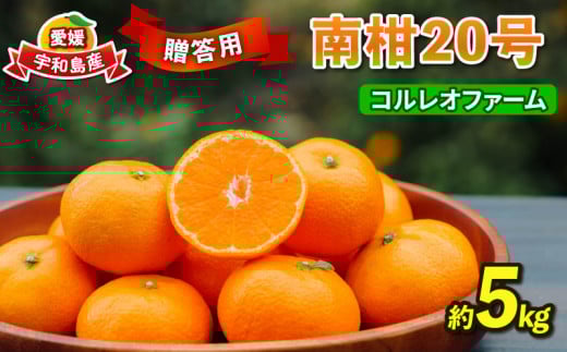 みかん 贈答用 南柑20号 温州みかん 5kg コルレオファーム フルーツ 愛媛みかん 柑橘 蜜柑 mikan 温州 果物 くだもの 人気のみかん 美味しいみかん 濃厚みかん 温州蜜柑 贈答品 贈答 ギフト プレゼント 産地直送 数量限定 先行予約 国産 愛媛 宇和島 B010-145008