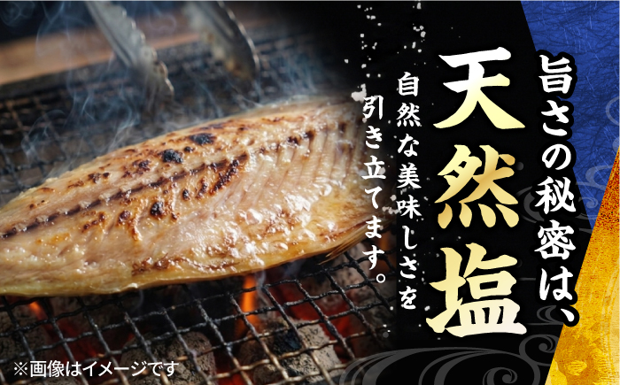 【訳あり】漁師町佐島 サバ 干物 約2.0kg（15枚前後）【石川水産】 [AKCX018]
