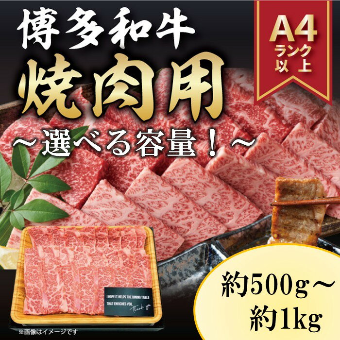 【ふるさと納税】【A4～A5】博多和牛焼肉用（選べる容量）【博多和牛】