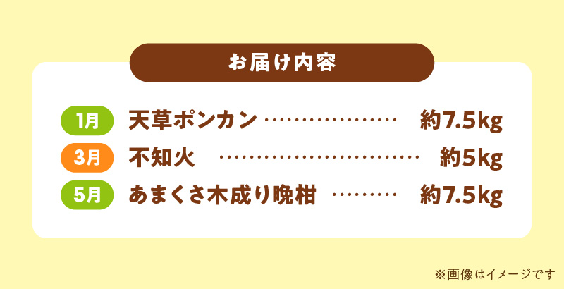 S040-T02_【定期便3回】天草 下浦地区特産の柑橘3種Ａセット(訳あり)【先行受付】