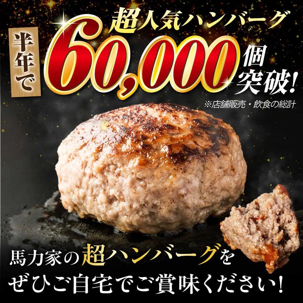 【12回定期便】超ハンバーグ ミニ 3個[AVBO065]飛騨牛 定期便