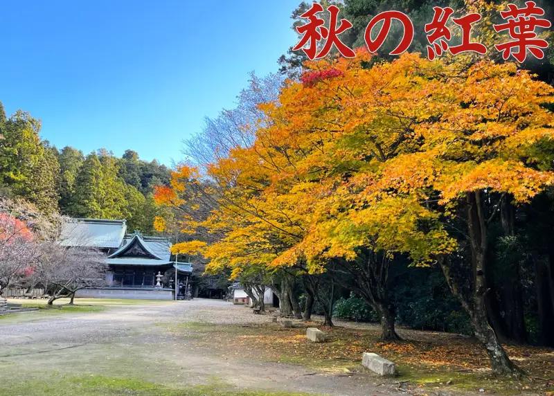 箸蔵山 ロープウェイ 「 往復 チケット 」 瞑想体験 境内案内 チケット おとな 2枚【 箸蔵山 】