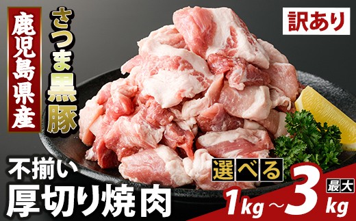 
                  K-746 ＜選べる容量＞直売用訳あり限定 さつま黒豚 不揃い厚切り焼肉 真空パック入り(計1～3kg) 【ふるさと産直バザール】霧島市 部位ミックス 黒豚 国産 鹿児島県産 肉 精肉 ワケアリ 焼肉 真空パック 豚肉 ロース モモ
                
