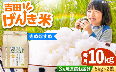 【全3回定期便】吉田げんき米きぬむすめ 10kg（5kg×2袋）[AIDB133]