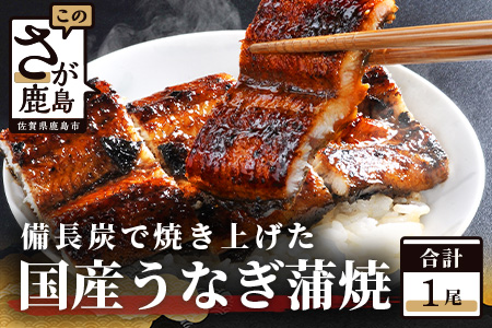国産うなぎの蒲焼１尾入り 【180～200g】 大型サイズ 国産 鰻 ウナギ 蒲焼き タレ付き 密封パック入りうなぎ 佐賀県 鹿島市 冷蔵うなぎ　B-14