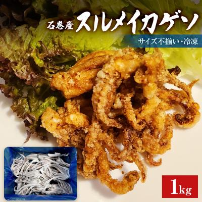 ふるさと納税 石巻市 石巻市産スルメイカゲソ1kg 冷凍 国産 スルメイカ いか イカ イカゲソ ゲソ天 バラ冷凍 宮城県
