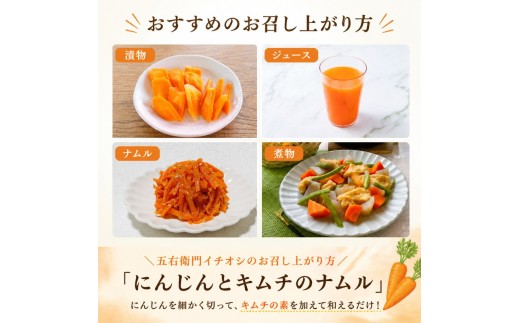 訳あり にんじん 約15kg 人参 ニンジン にんじん 15キロ 野菜 訳アリ 人参 ニンジン わけあり にんじん 訳有 人参 ワケアリ にんじん 加工用 ニンジン 家庭用 人参 不揃い にんじん 規
