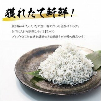 KGP033　高知県産釜揚げしらす（50g×17パック）シラス 小分け 国産 無添加 釜揚げ しらす丼 海鮮丼 ゆずつき お茶漬け ごはん 軍艦巻き 寿司 17人前 大容量 冷凍 高知県 返礼品 12