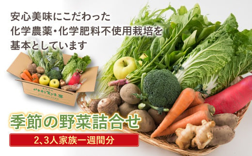 【12/5までのご寄付で年内発送】山形県産季節の野菜詰合せ 約2～3人家族一週間分 ふるさと納税 野菜 やさい 果物 くだもの セット 年内発送 季節限定 期間限定 山形県 山形 高畠町 2024 ふるさと 人気 送料無料 F20B-245