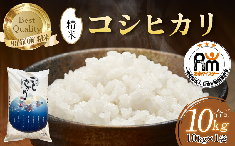 【令和7年産 新米】コシヒカリ 精米 10kg×1袋 《お米マイスターが発送直前に精米！》／ 米 お米 10キロ 福井県産 ブランド米 ご飯 白米 新鮮 [aw064-b009]