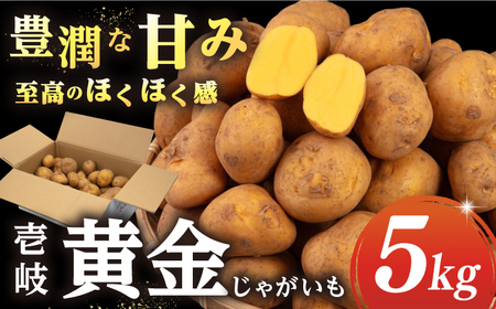 【2026年2月以降順次発送】壱岐黄金じゃがいも 5kg 《壱岐市》【壱岐市農業協同組合】 じゃがいも ジャガイモ ポテト 野菜 季節の野菜 夏野菜 冬野菜 [JBO139] 九州 11000 11000円