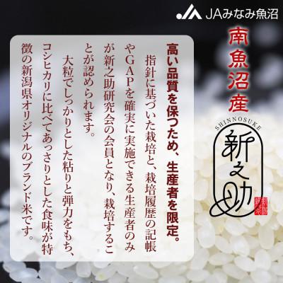 ふるさと納税 南魚沼市 【令和7年産】「南魚沼産新之助」精米 20kg(2kg×10袋) |  | 01
