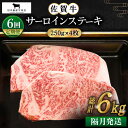 【ふるさと納税】【全6回定期便】【隔月発送】佐賀牛 サーロインステーキ 1.0kg（250g×4枚）【田中畜産牛肉店】 [HBH127]