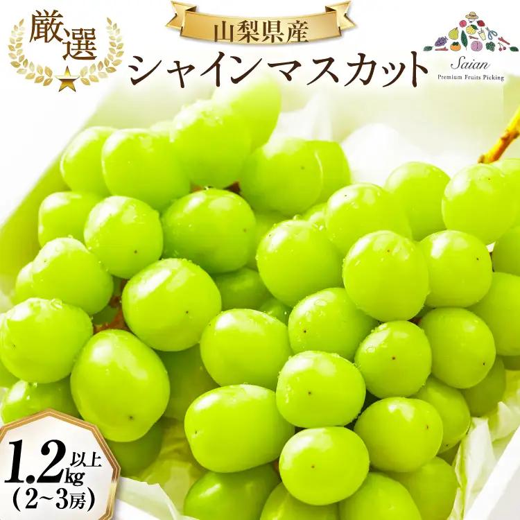 【2026年発送】先行受付 シャインマスカット 予約 約 1.2～1.3kg 2～ 3房 冷蔵発送 果物 フルーツ 山梨 ぶどう シャイン マスカット ブドウ 葡萄 種なし 厳選 旬 期間限定 季節限