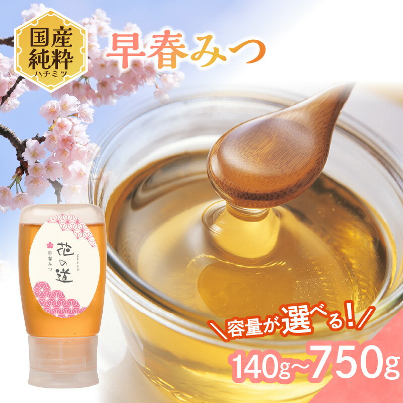 【ふるさと納税】国産純粋蜂蜜 早春みつ 選べる内容量 (140g〜750g) 非加熱 はちみつ ハチミツ 生はちみつ ローハニー オススメ 贈答 贈り物 プレゼント 八女市