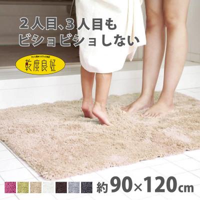 ふるさと納税 海南市 乾度良好 Dナチュレ バスマット 約90×120cm ベージュ 吸水速乾 裏面すべり止め加工