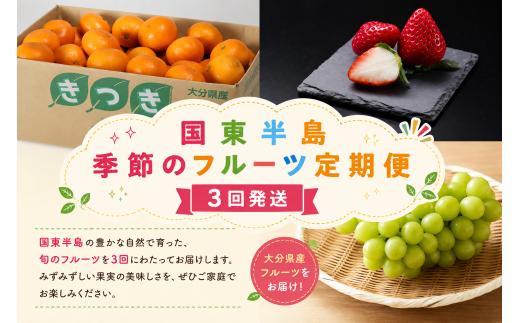 国東半島 季節のフルーツ定期便 計3回発送 シャインマスカット おんせんミカン ベリーツ 国東市 杵築市 豊後高田市 _2675R