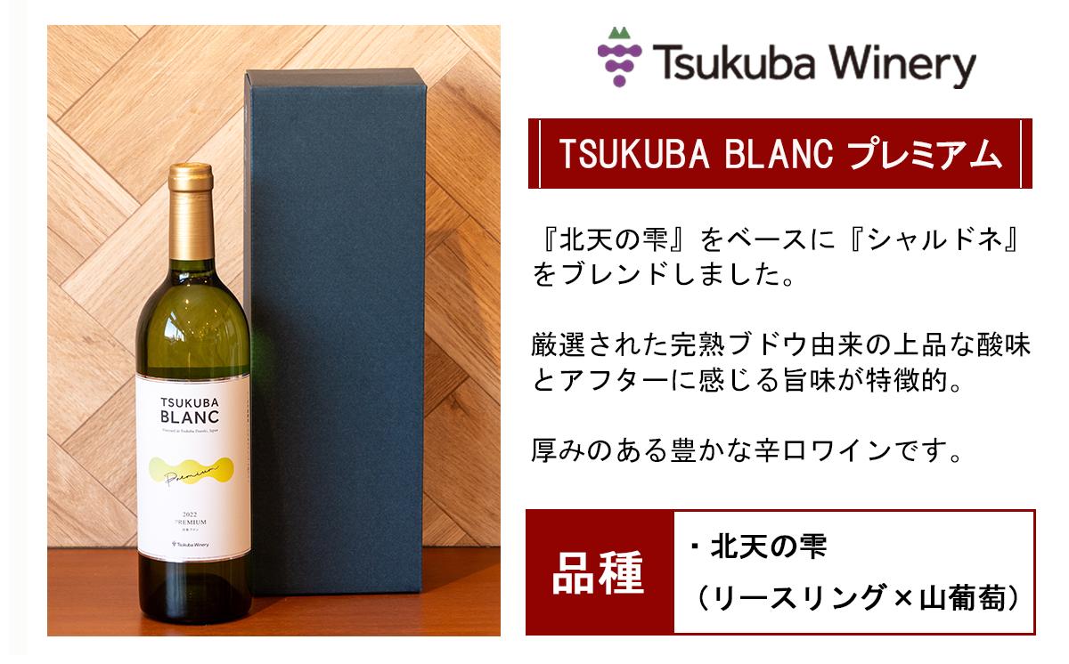 つくばワイナリー 満喫セット 【 お酒 葡萄 ぶどう ブドウ 茨城県産 つくば市産 ワイナリー 】