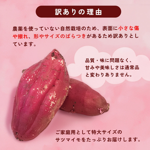 【訳あり】 【2027年1月発送】 舞鶴産 熟成さつまいも 8kg （紅はるか） 特大