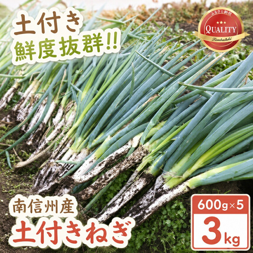 【ふるさと納税】 南信州産 土付きねぎ 3kg (600g×5袋) 【2026年11月下旬～順次発送】 JAみなみ信州DMセンター飯田市 | 土付き ねぎ ネギ 甘い 新鮮 太い 野菜 南信州 新鮮 長野県 飯田市 K11