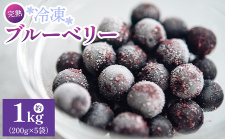 完熟 冷凍ブルーベリー 約1kg(200g×5袋)【ブルーベリー ブルーベリー ブルーベリー ブルーベリー ブルーベリー】 yg-0028
