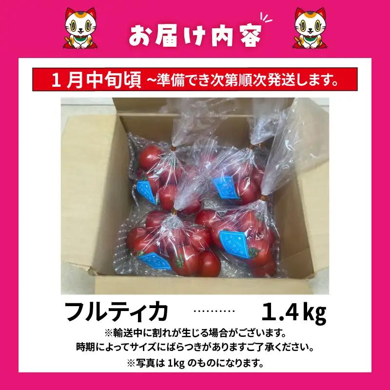 【先行予約】【2027年1月中旬以降発送】フルーツトマト　中玉フルティカ1.4kg