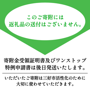 【 返礼品なし 500,000円 寄附 】 徳島県 三好市 への 寄附 応援寄附金