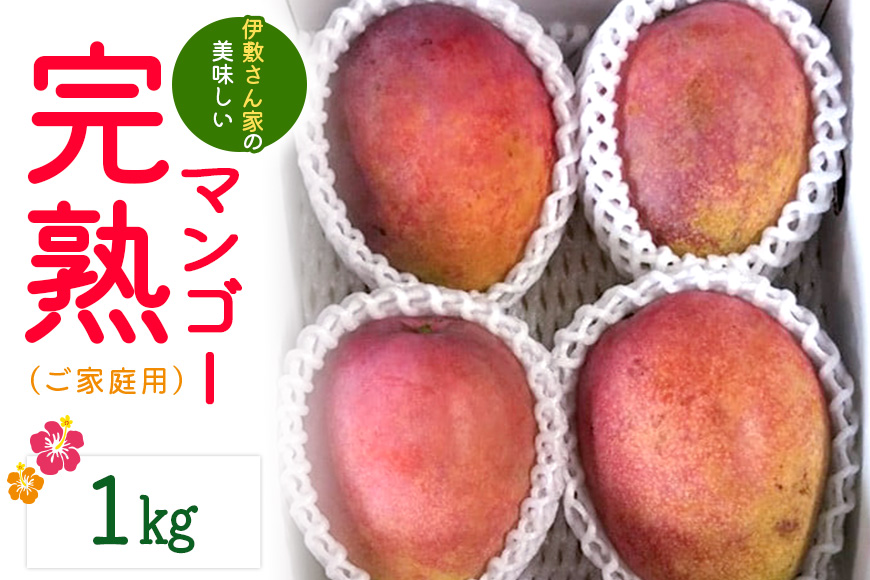 【2026年発送】伊敷さん家の美味しい完熟マンゴー1kg（ご家庭用） 41-3