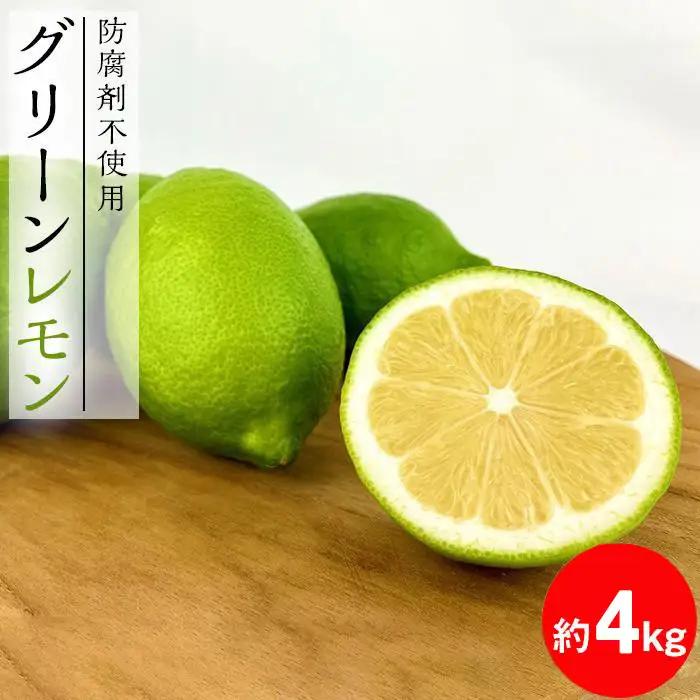 【レモン島から贈る】安心の国産グリーンレモン4kg 2026年10月下旬より発送予定