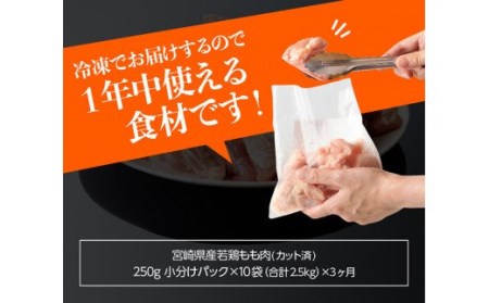 【定期便】宮崎県産 鶏肉 もも 切身 2.5kg (250g×10袋) 3ヶ月定期便 【国産鶏肉 九州産鶏肉 鶏肉 若鶏 肉 とり モモ肉 小分け鶏肉 カット済み鶏肉 大人気鶏肉 全3回鶏肉】