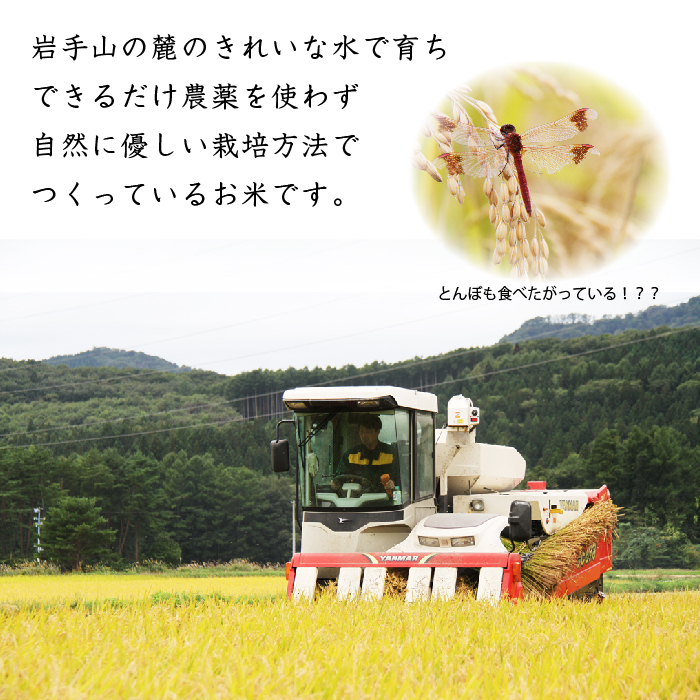 岩手県産 新米 ひとめぼれ 玄米 5kg 2袋 総量 10kg 【わかふじ農産】 米 お米 こめ コメ ライス ご飯 ごはん ふっくら つやつや おいしい 美味しい 贈り物 単一原料米 国産 特産品 