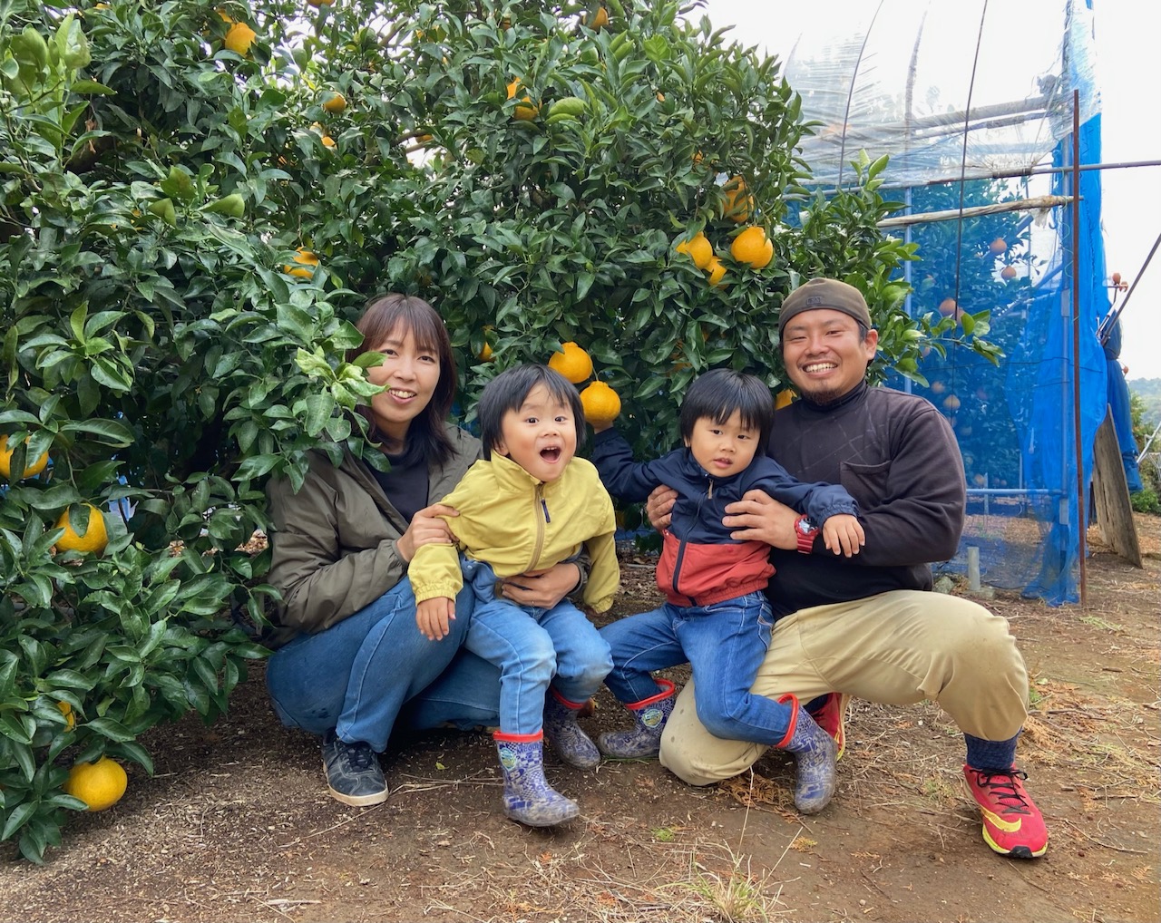 【先行予約】屋根掛けハウス栽培 山口さん家の不知火 約5kg 18玉〜22玉 3L〜4L【2027年1月上旬-2月上旬発送予定】柑橘 果物 フルーツ