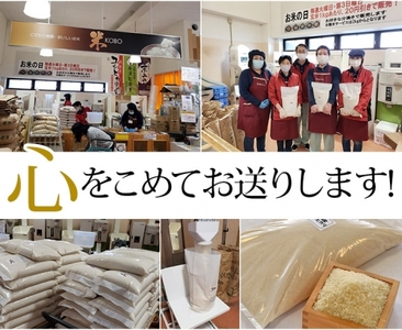 新米 定期便 令和7年産 【6回定期便】 白米 コシヒカリ 5kg