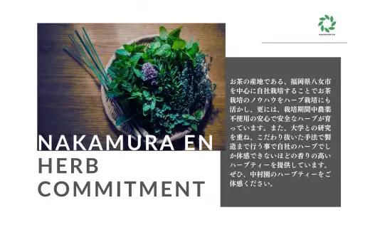 【ギフト用】中村園　八女産水出しブレンドハーブティー 2種セット お茶 茶 煎茶 水出し ティーバッグ ペパーミント レモングラス さっぱり リフレッシュ 福岡県 八女市 047-002-GFT