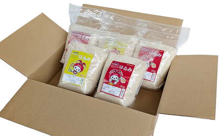 神奈川県海老名市産はるみ　2ｋｇ×5セット【 お米 神奈川県 海老名市 】