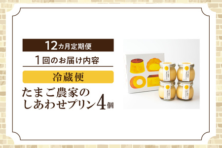 【定期便12ヶ月】たまご農家のしあわせプリン 4個セット ココテラス デイリーファーム 常滑牛乳 デザート スイーツ なめらかプリン ギフト お取り寄せ たまご 卵 米卵 こだわりプリン グルメ 瓶入