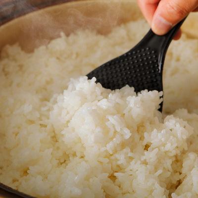 ふるさと納税 四万十市 【令和7年産・6回定期】四万十産 四万十米　コシヒカリ(5kg×2袋)×6回 (計60kg )R7 |  | 02