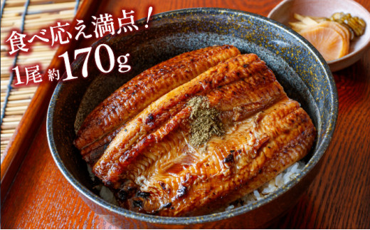 魚荘のうなぎ蒲焼き(2尾入り) / うなぎ ウナギ 鰻 蒲焼き 蒲焼 / 諫早市 / 有限会社魚荘 [AHCK002]