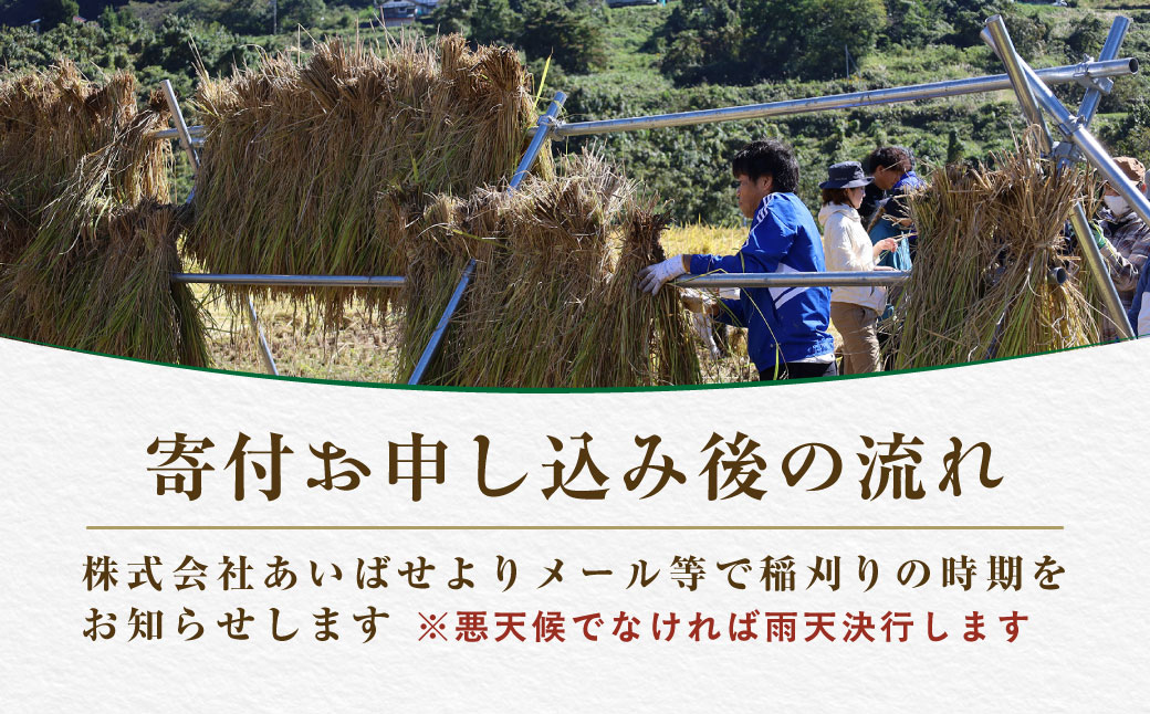 北塩原村川前棚田　稲刈り体験 KBAH003