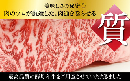 牛肉 【定期便】あだたら酵母牛（ステーキ用）サーロイン 600g×3回 牛肉 牛肉 牛肉